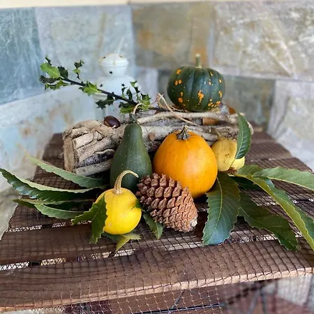 Carriles Rurales Aparthotel Oviñana