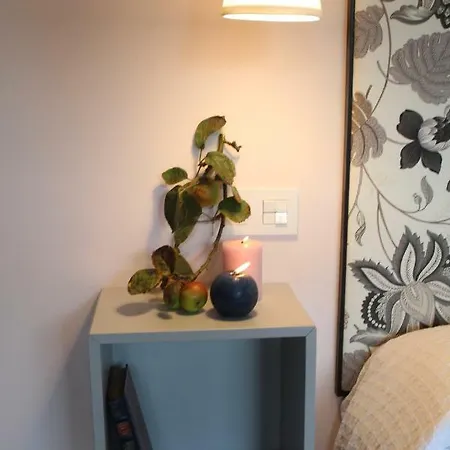 Carriles Rurales 4* Oviñana