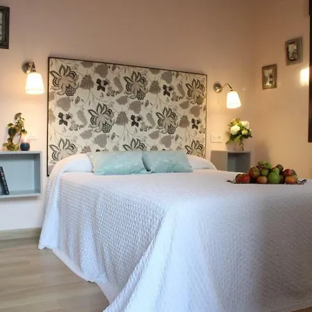 Carriles Rurales Oviñana