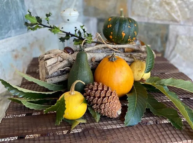 Carriles Rurales Apartahotel Oviñana