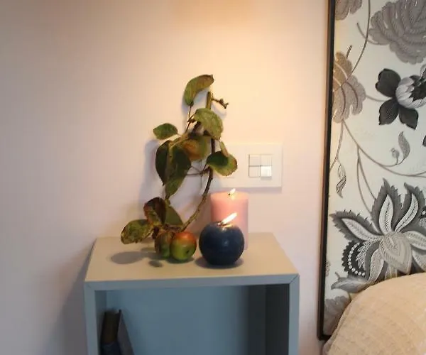 Carriles Rurales 4* Oviñana