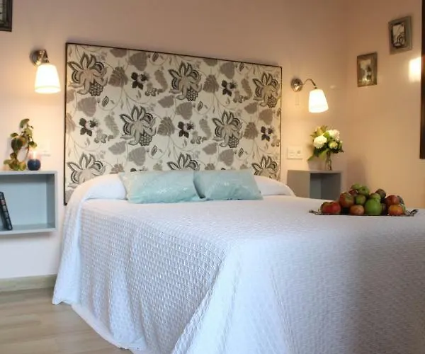 Carriles Rurales Oviñana