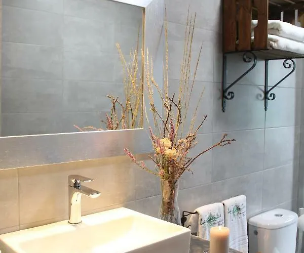 Carriles Rurales 4* Oviñana