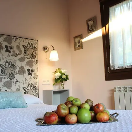 Carriles Rurales Apart-hotel Oviñana
