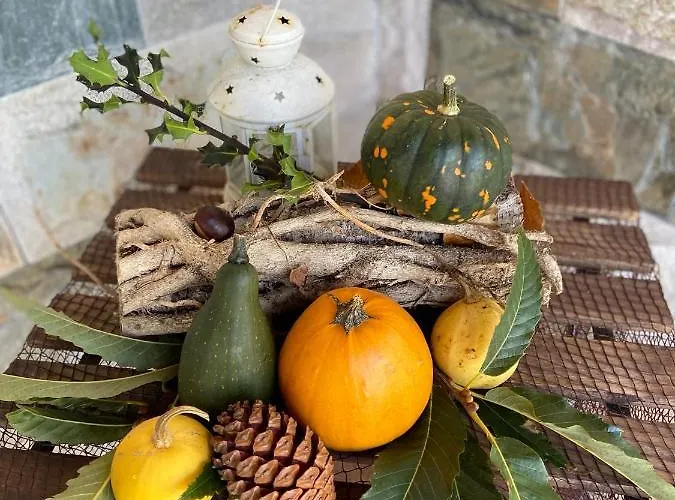 Carriles Rurales מלון דירות